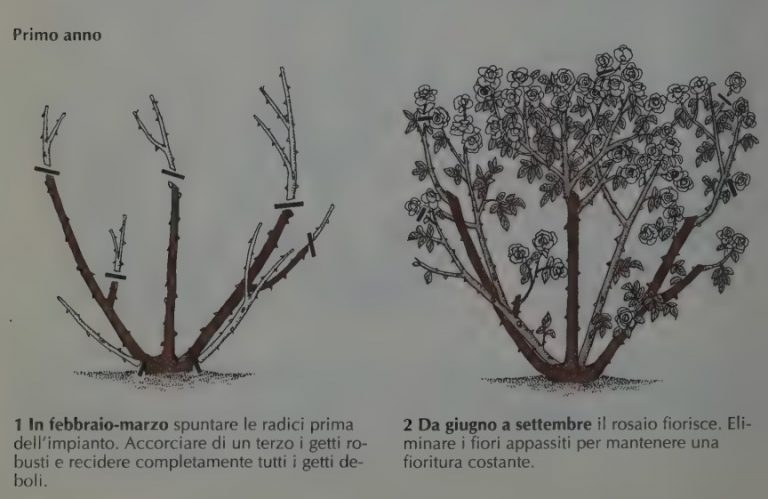 Guanti Da Giardinaggio In Pelle Anti-Spine - Lunghi Fino Al Gomito, Regolabili, Per Potatura Rose E Lavori Pesanti - 2